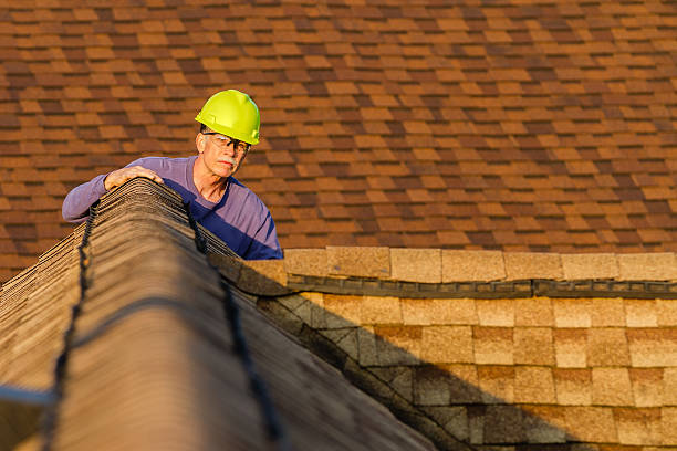Best Roof Waterproofing Services  in Lake View, AL